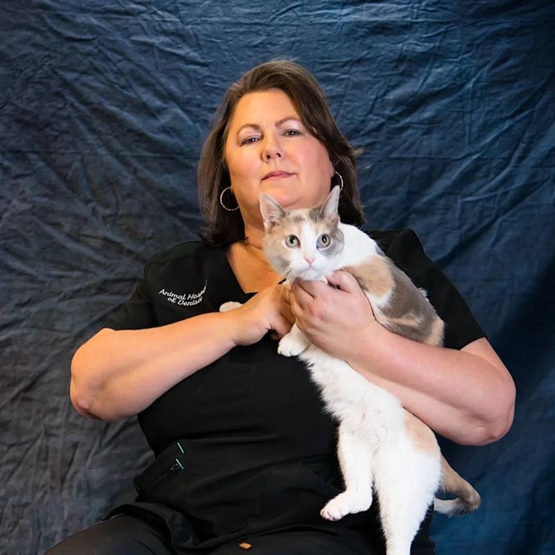 Michelle L. Stone Michelle L. Stone