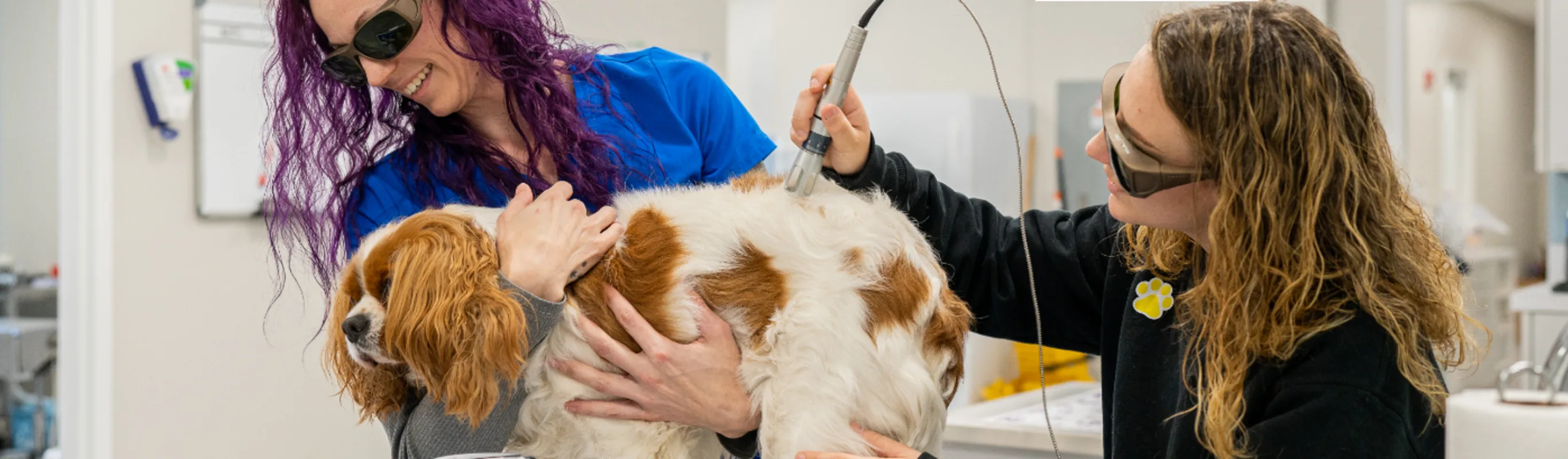 Nolensville Veterinary Hospital Team