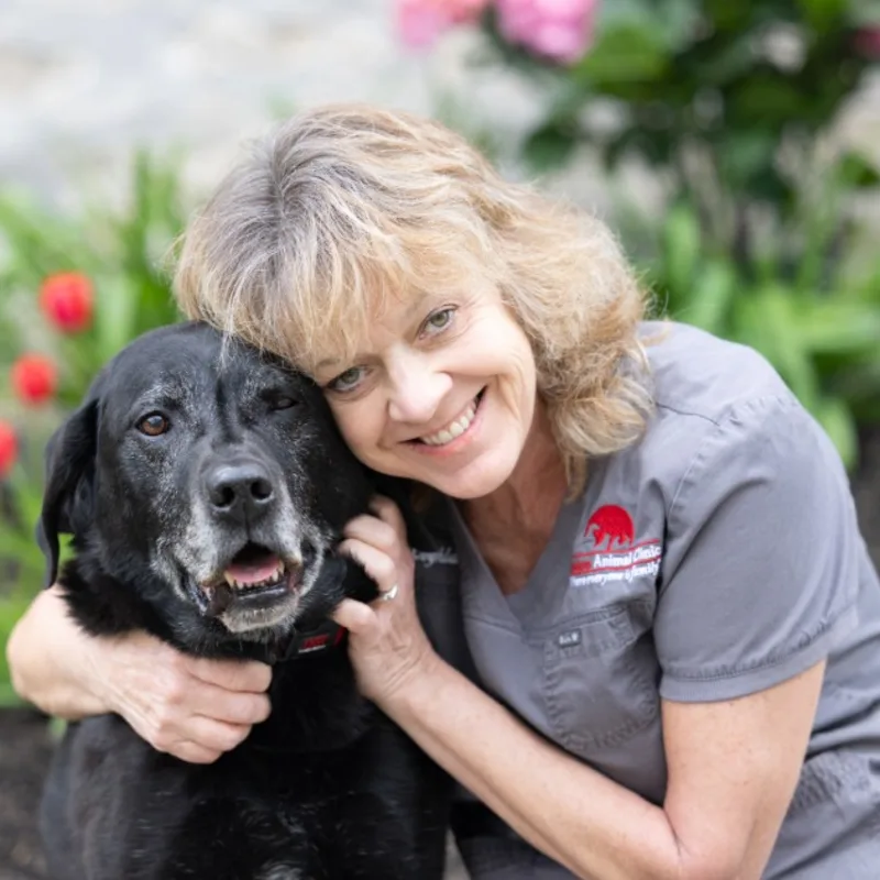 DR. CHRISTINE COGHLAN DR. CHRISTINE COGHLAN