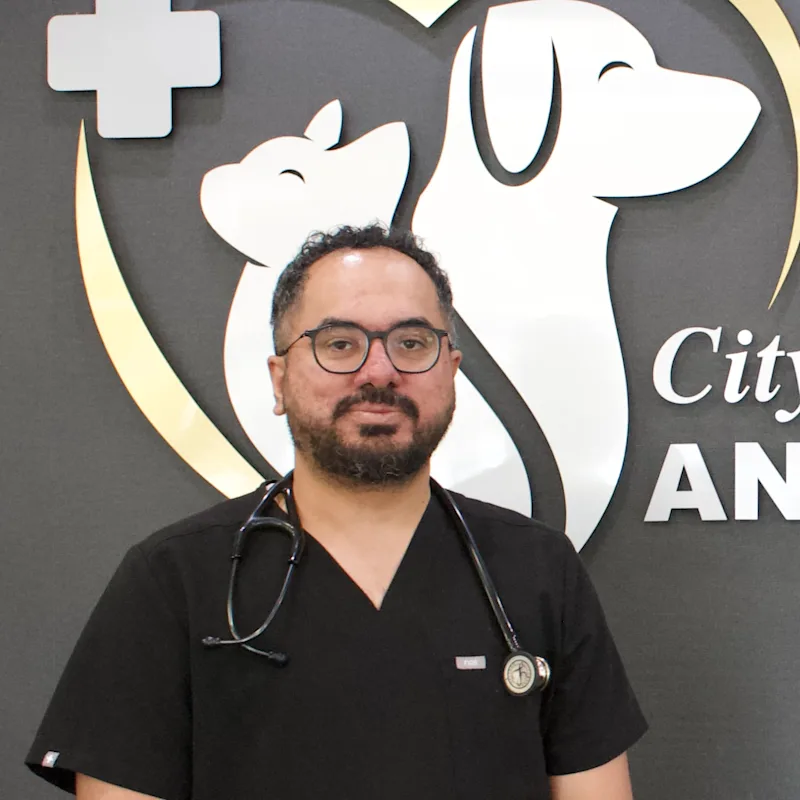 Dr. Navdeep Aujla Dr. Navdeep Aujla