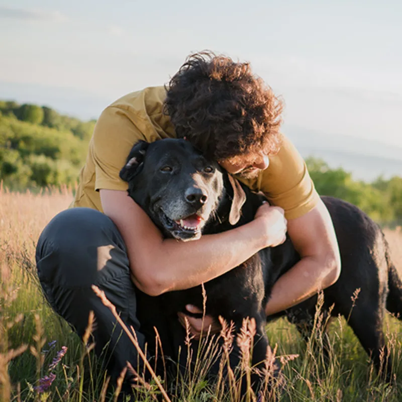 A man holding hugging his dog outside in a field A man holding hugging his dog outside in a field