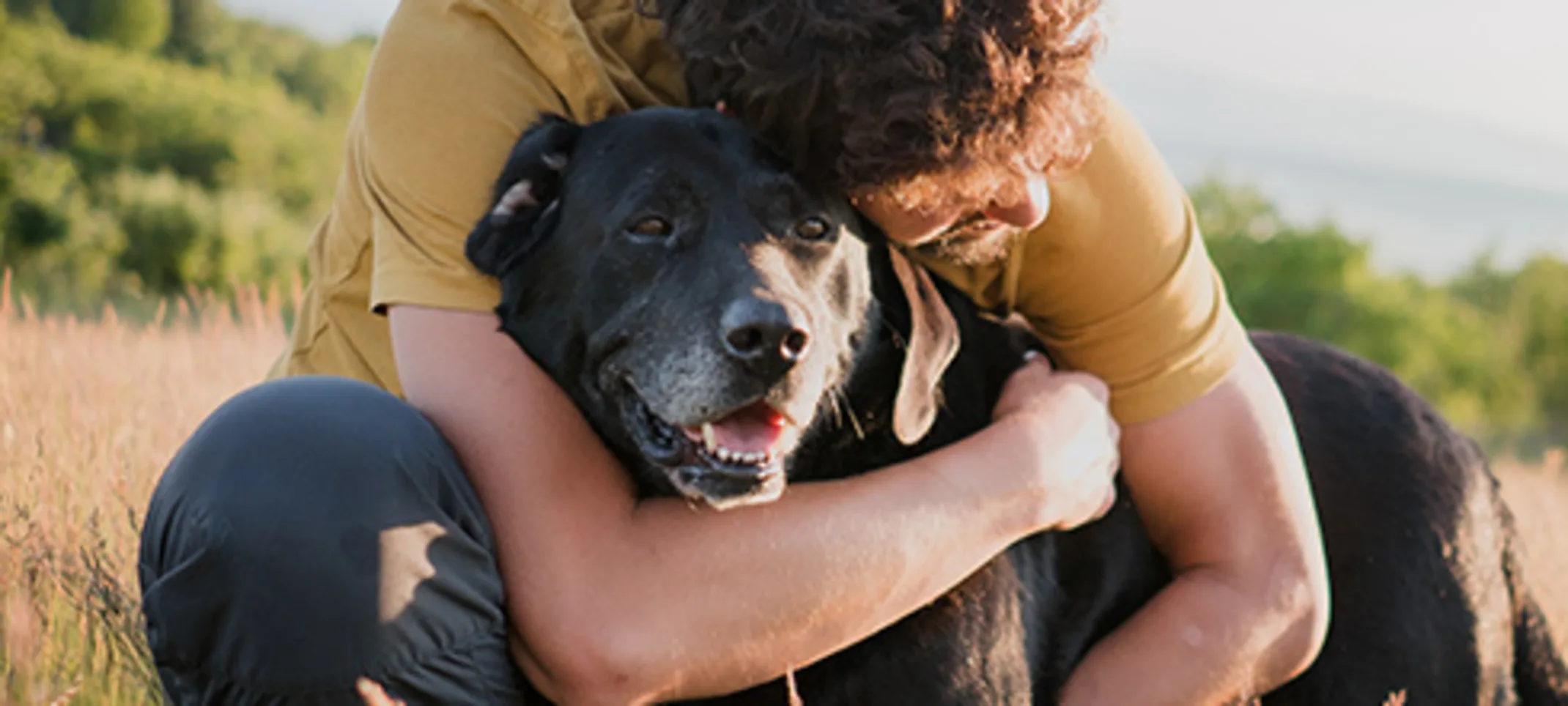 A man holding hugging his dog outside in a field A man holding hugging his dog outside in a field