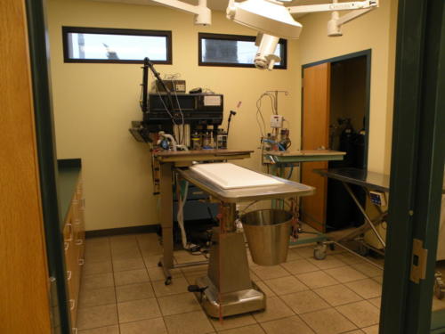 Surgery Room at Southside Animal Hospital