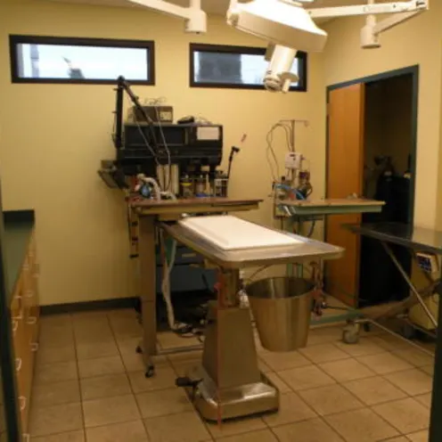 Surgery Room at Southside Animal Hospital