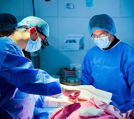Surgery being performed on a patient Surgery being performed on a patient