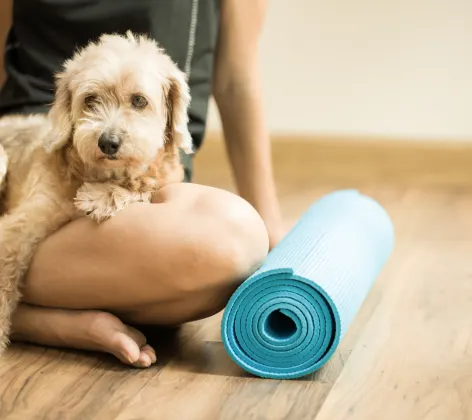 dog sitting on woman's lap with yoga mat