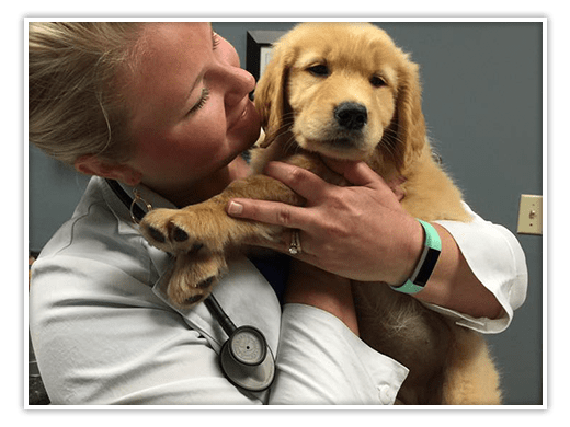 Staff holding puppy at Forest Hill Animal Hospital