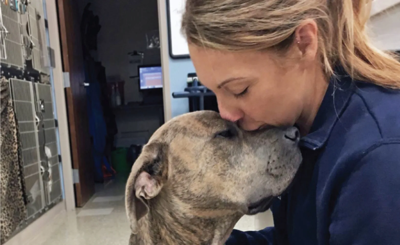 A veterinary professional kissing a dog's nose A veterinary professional kissing a dog's nose