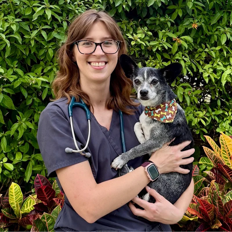 Dr Aleia Hollands Dr Aleia Hollands