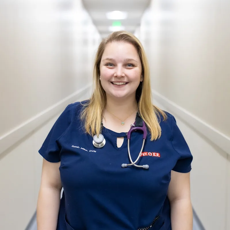 Sarah Miller Sarah Miller