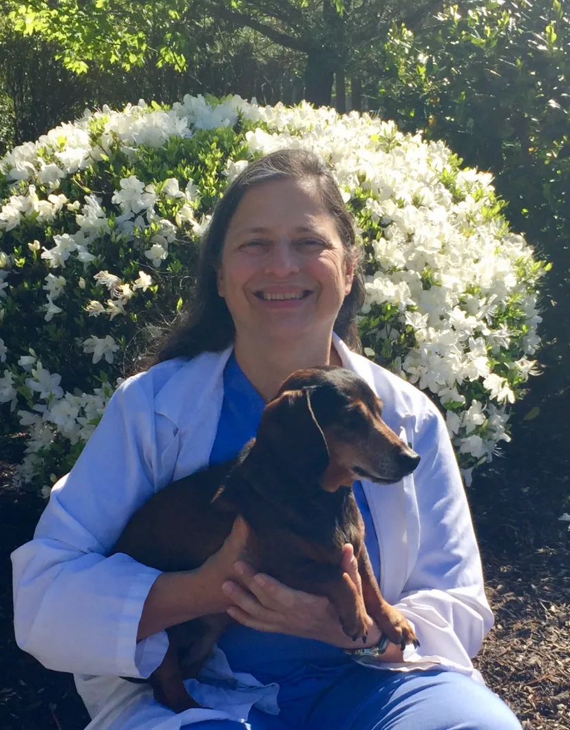 Dr. D'Ingianni with a dachshund.