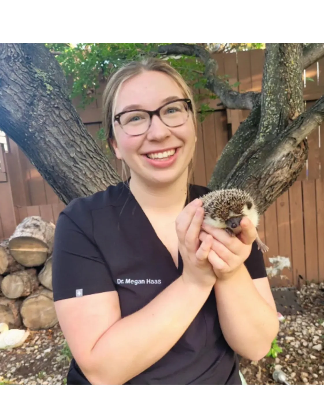 Dr. Megan Haas holding a hedgehog. Dr. Megan Haas holding a hedgehog.