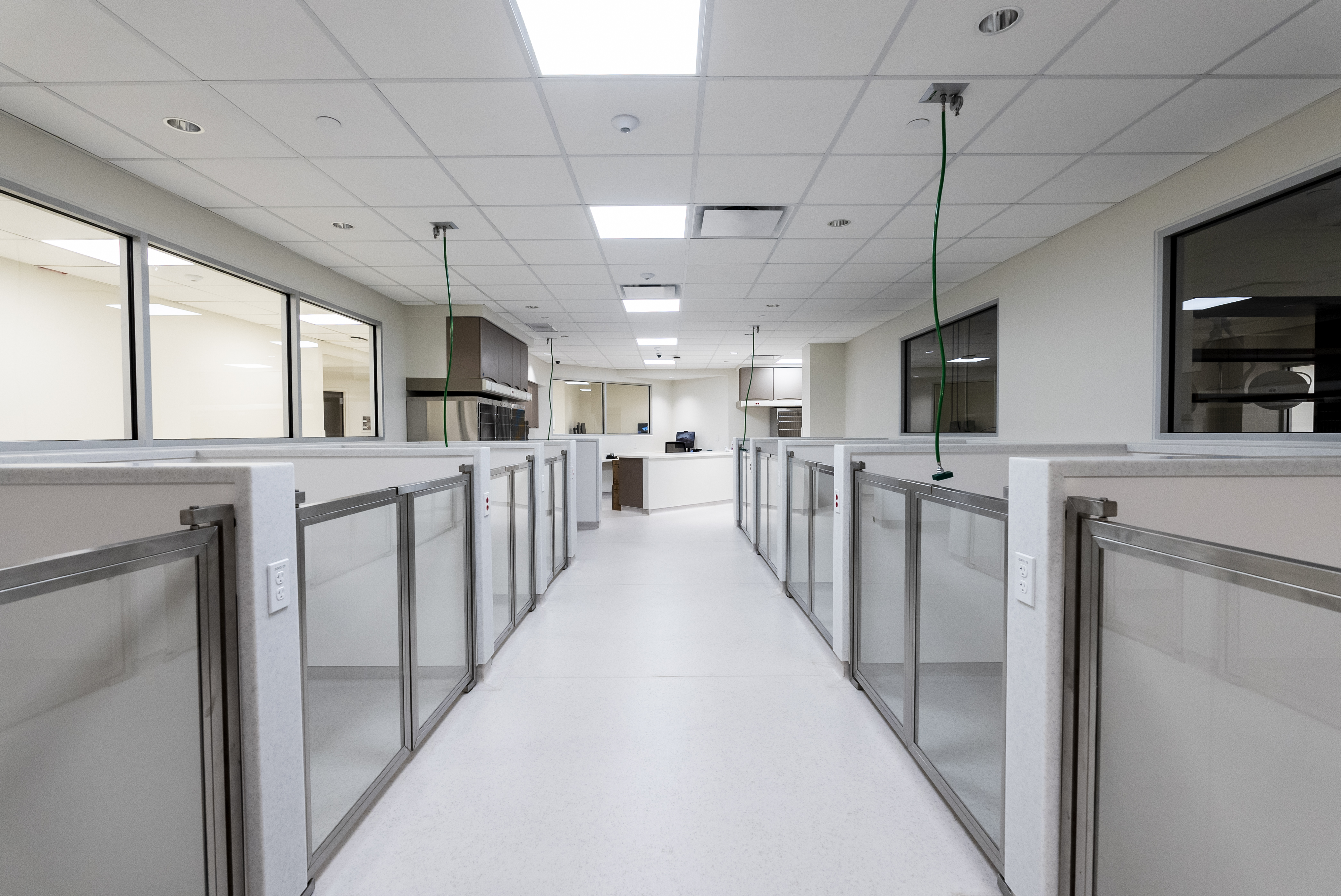 Red Bank Veterinary Hospital Tinton Falls facility