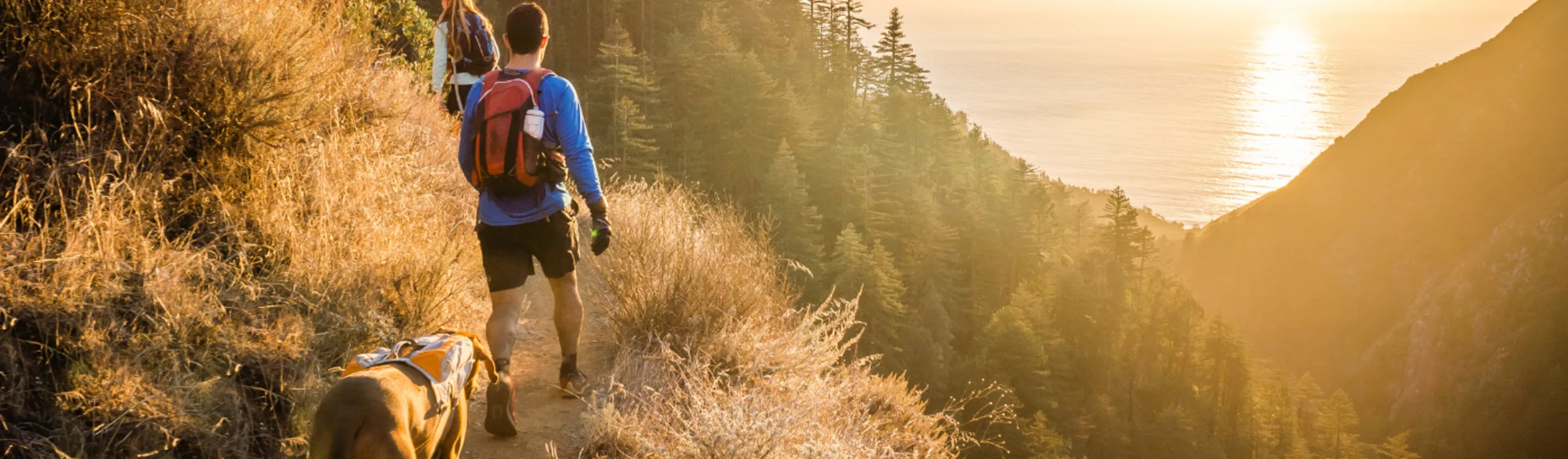 Two people and a dog on a mountain hike