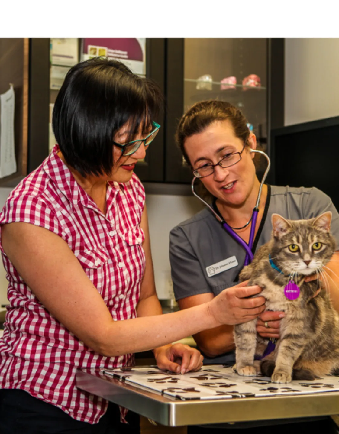 Dr. Johanna Hume with a Client and a Brown Cat Dr. Johanna Hume with a Client and a Brown Cat