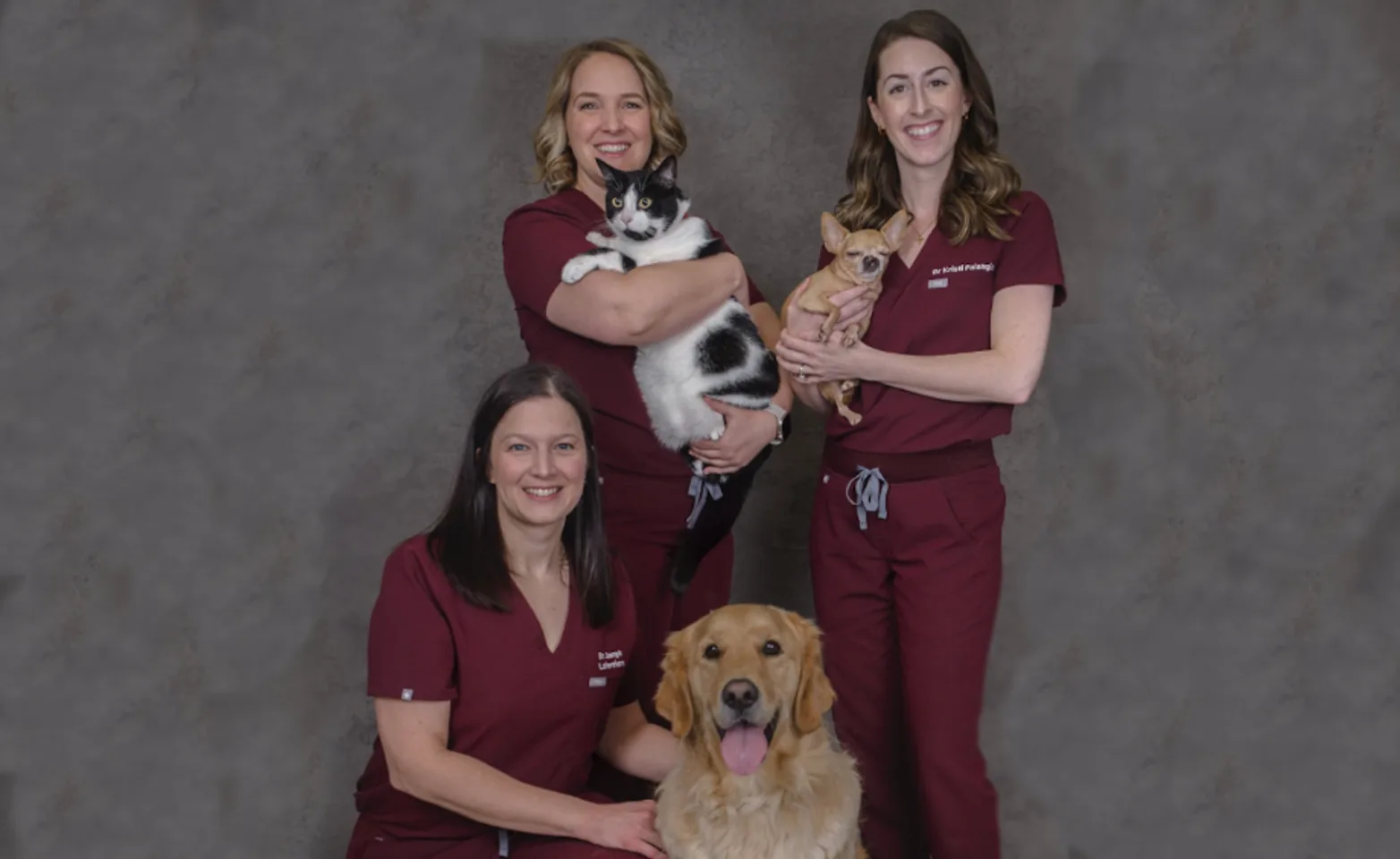 Employees with two dogs and a cat Employees with two dogs and a cat