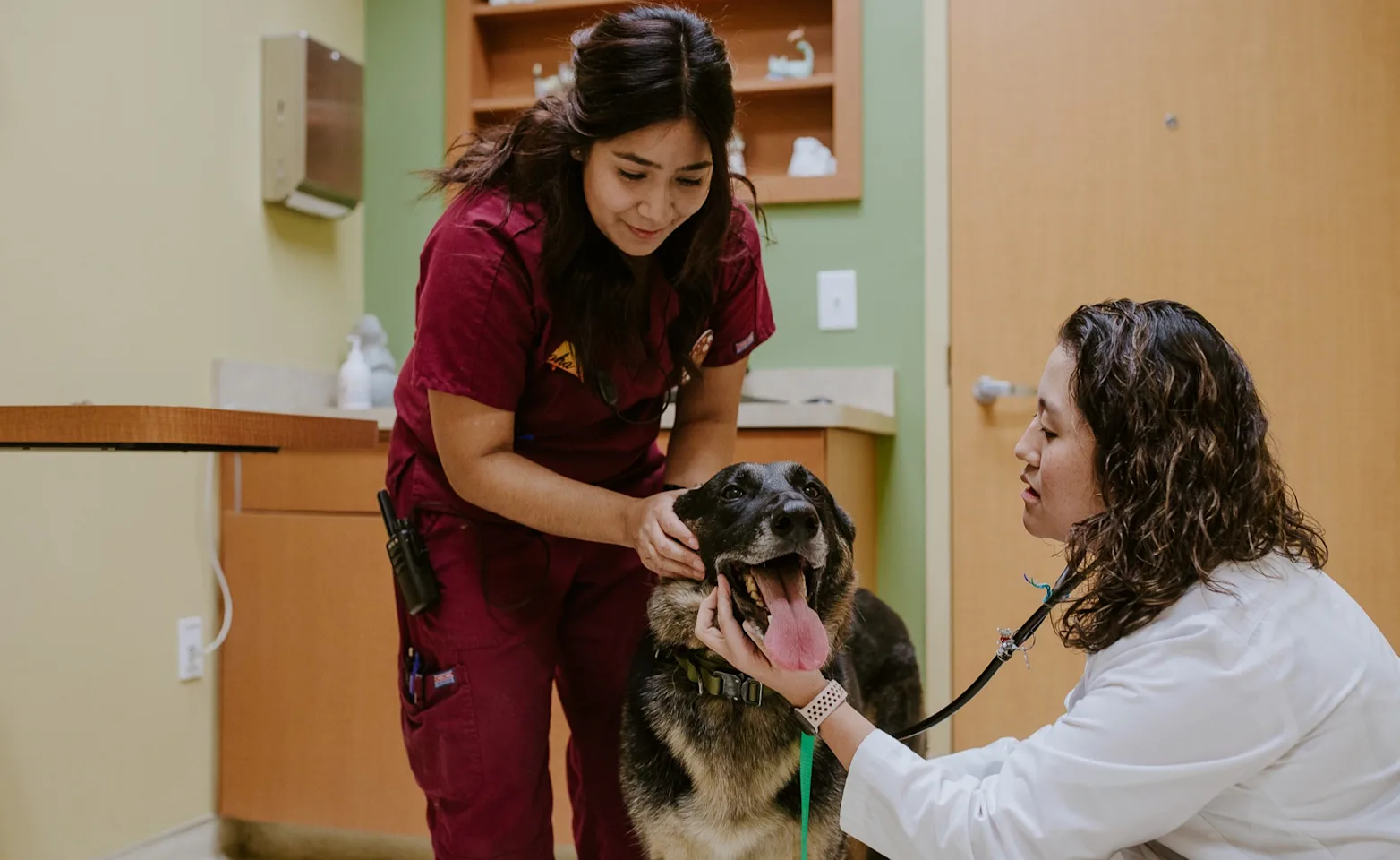 A veterinarian and an assistant examine a large dog in an exam room. The vet is wearing a white coat and the assistant is in maroon scrubs. The dog appears calm. A veterinarian and an assistant examine a large dog in an exam room. The vet is wearing a white coat and the assistant is in maroon scrubs. The dog appears calm.