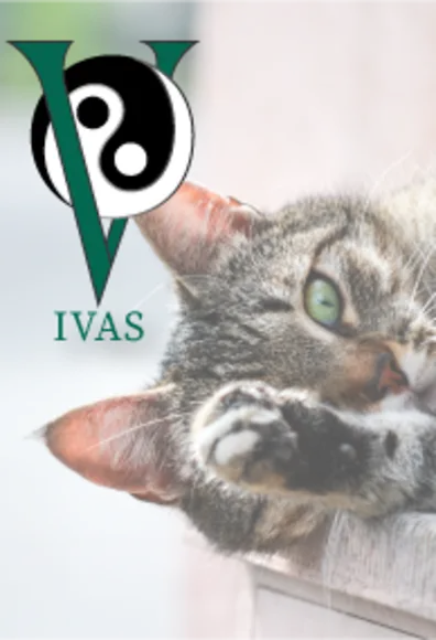 IVAS IVAS