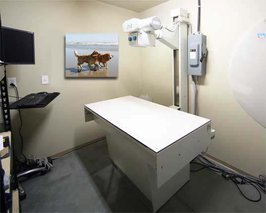 Piper Creek Veterinary Clinic Radiology