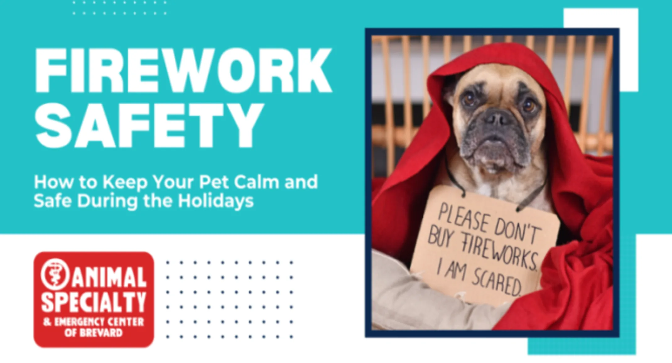 Firework Safety: How to Keep Your Pet Calm and Safe during the Holidays Firework Safety: How to Keep Your Pet Calm and Safe during the Holidays