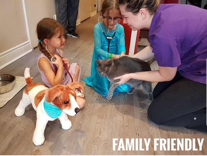 vet holding grey cat in front of children 
