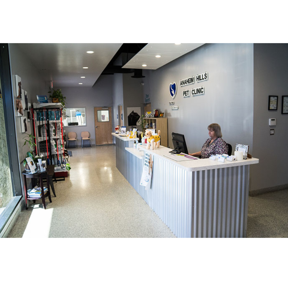 Front Desk of Anaheim Hills Pet Clinic