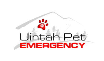 Uintah Pet Emergency gallery