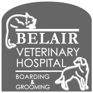 bel air veterinary hospital bowie