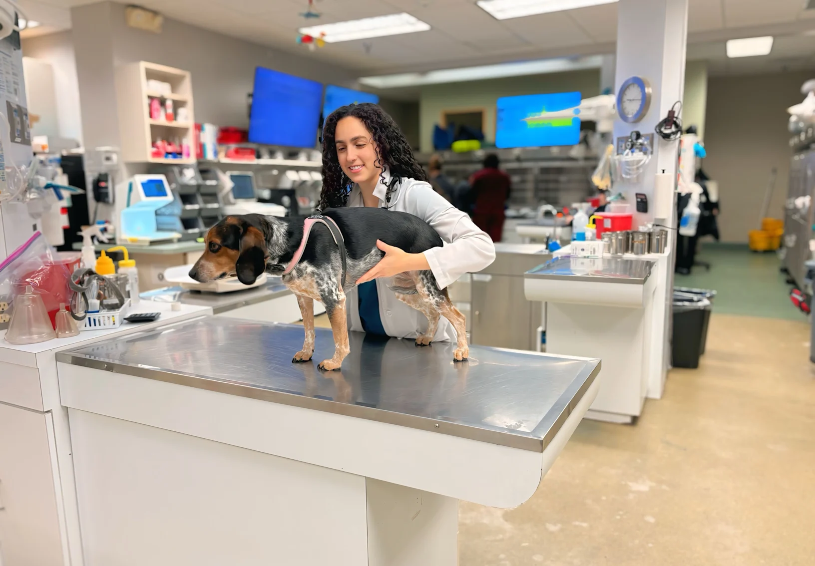 Dr. Harrison holding dog on exam table.  Dr. Harrison holding dog on exam table.