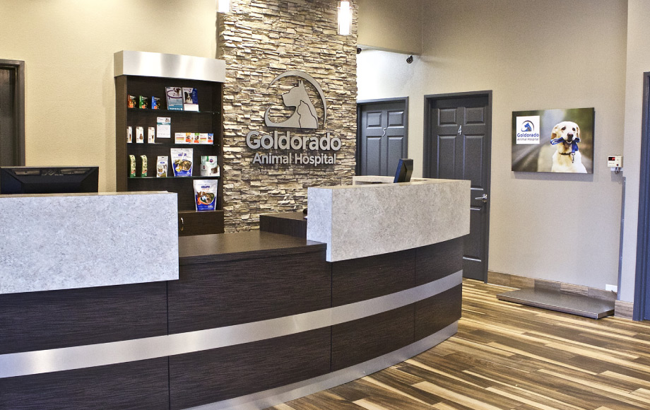 Goldorado Front Reception Area and Desk
