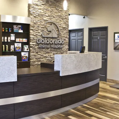 Goldorado Front Reception Area and Desk