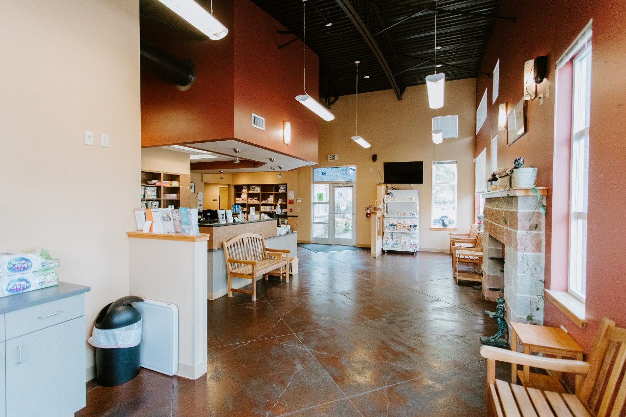 North Creek Pet Hospital Lobby