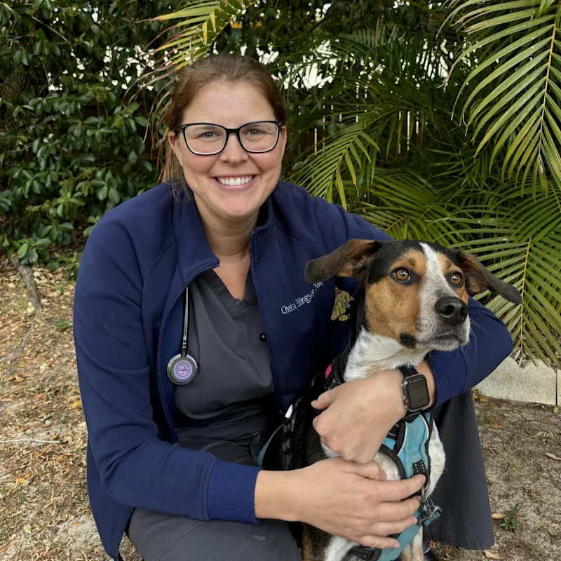 Dr. Chelsey Ellingson Dr. Chelsey Ellingson