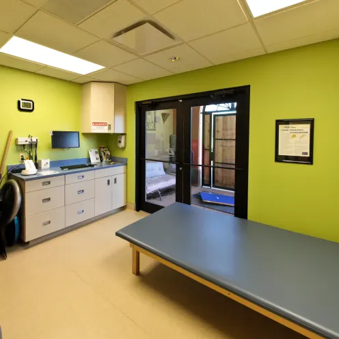 Advanced Animal Care of Colorado Rehab Room