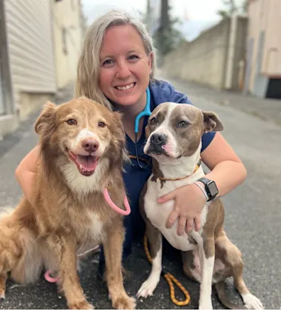 Perry Hall Animal Hospital Abby Hurdle Perry Hall Animal Hospital Abby Hurdle