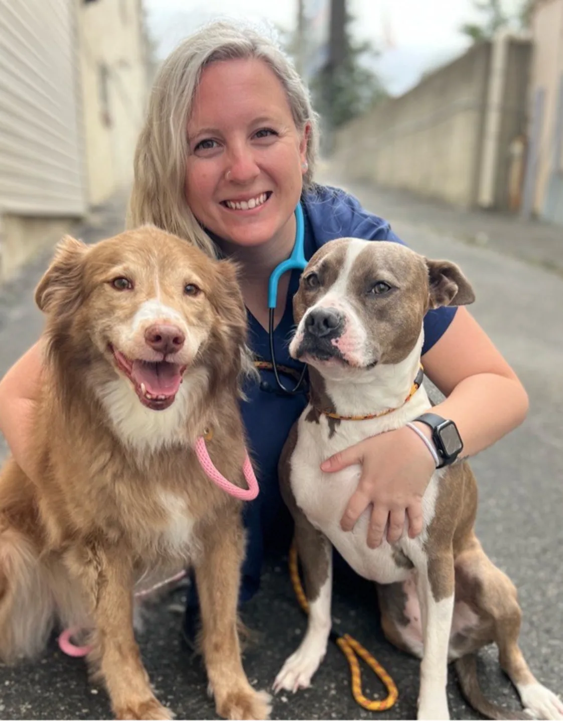 Perry Hall Animal Hospital Abby Hurdle Perry Hall Animal Hospital Abby Hurdle