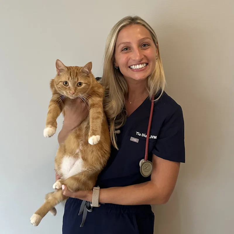 Dr. Tia Diaz Dr. Tia Diaz