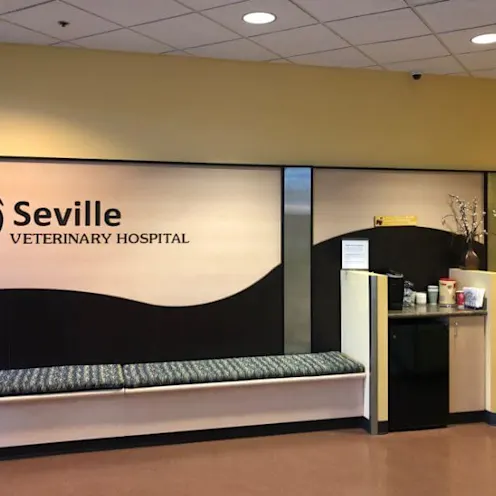 Waiting Area Waiting Area