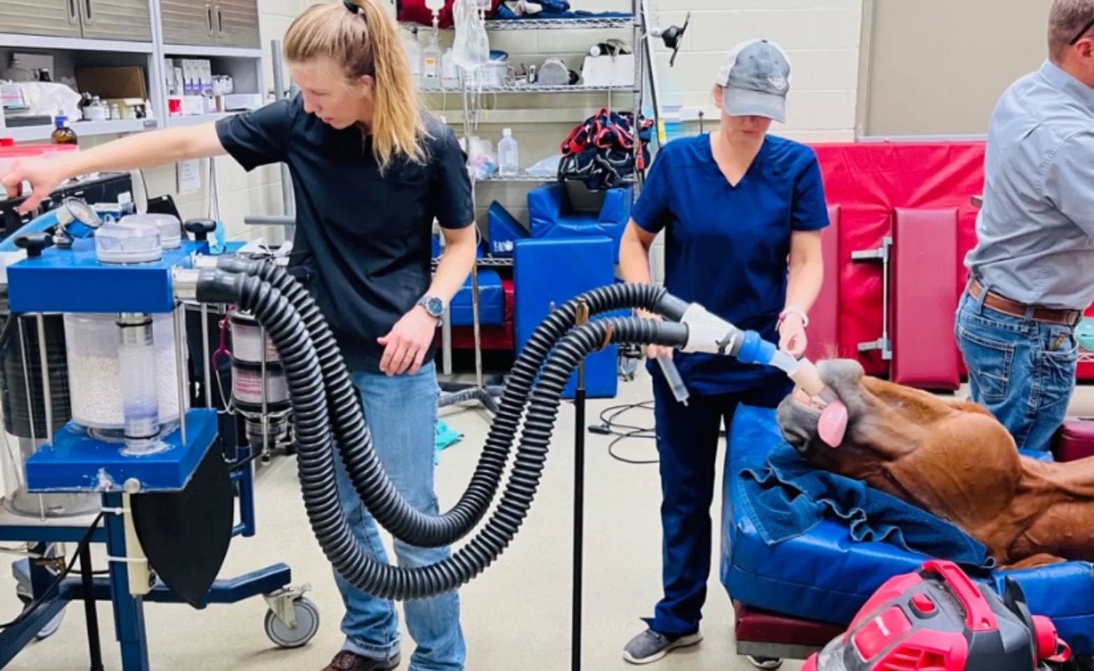 Anesthesia techs Anesthesia techs