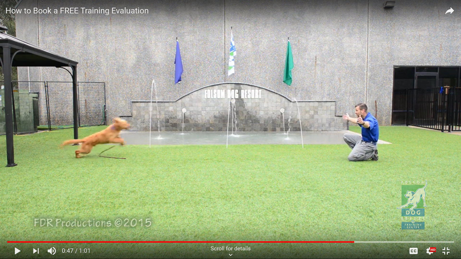 picture of a man welcoming a dog into his arms