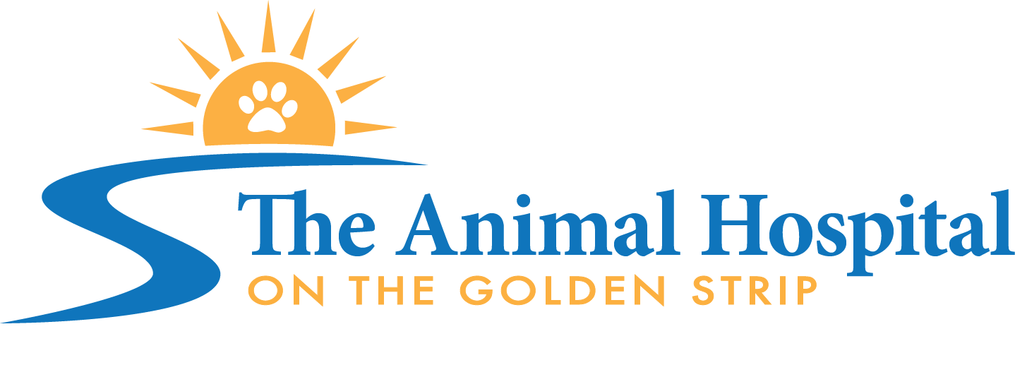 Homepage | The Animal Hospital on the Golden Strip