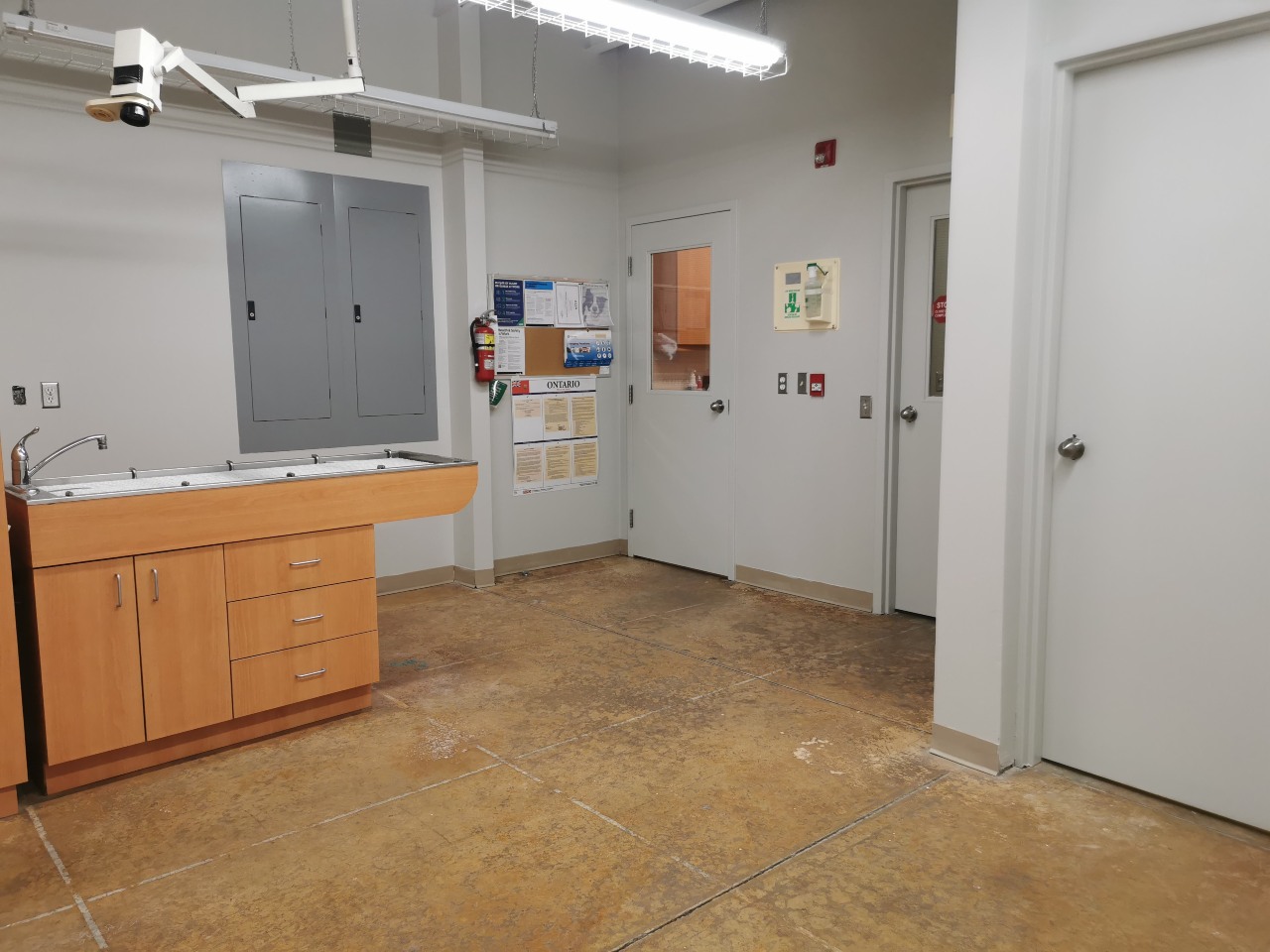 Upstairs Wet table and Safety Area at Abbotsford Animal Hospital