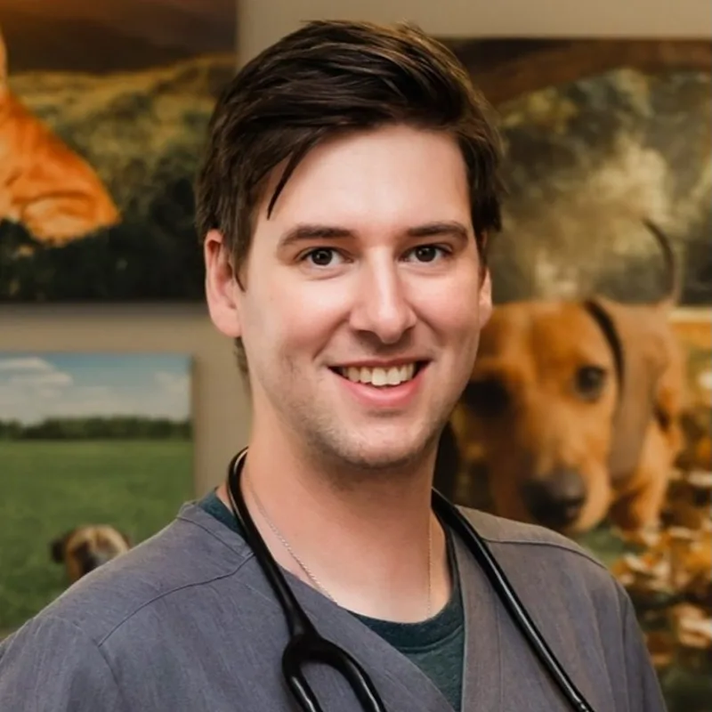 Dr. Mark Woodhouse Dr. Mark Woodhouse