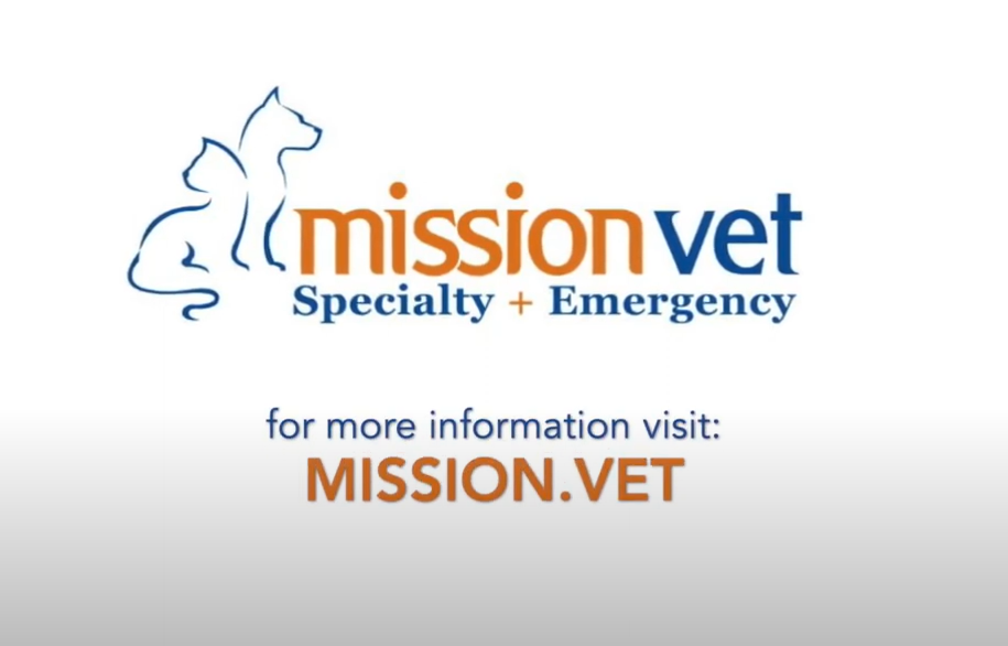 Mission Vet Logo w/ more information text