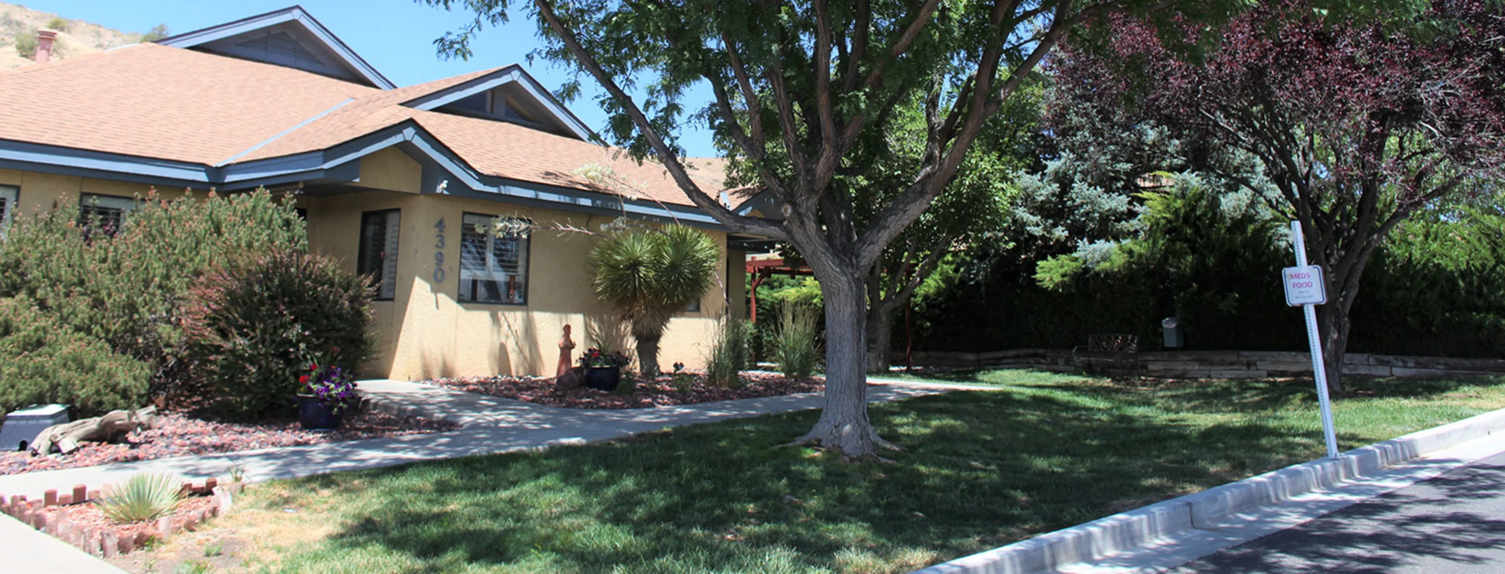 The exterior of Valley Veterinary Clinic Pet Lodge and Salon and a cherry blossom tree