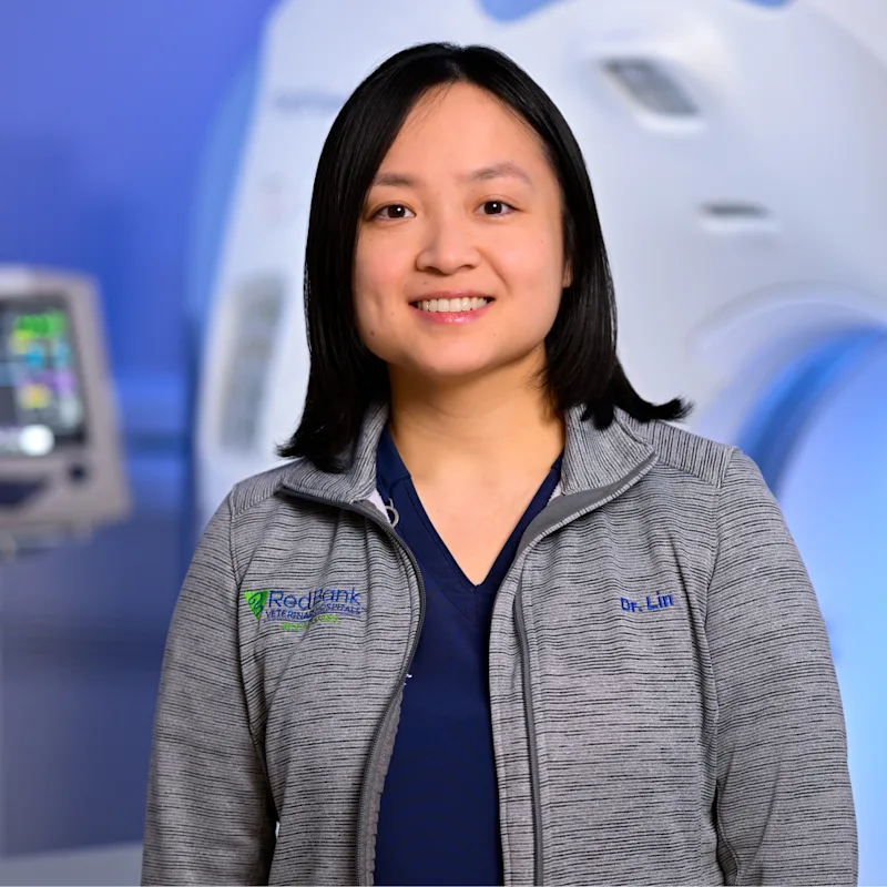 Photo of DIan Dian Lin Photo of DIan Dian Lin