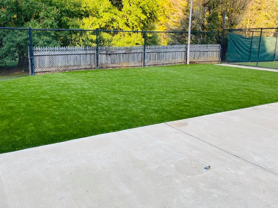 Play yard at PamperedPaws