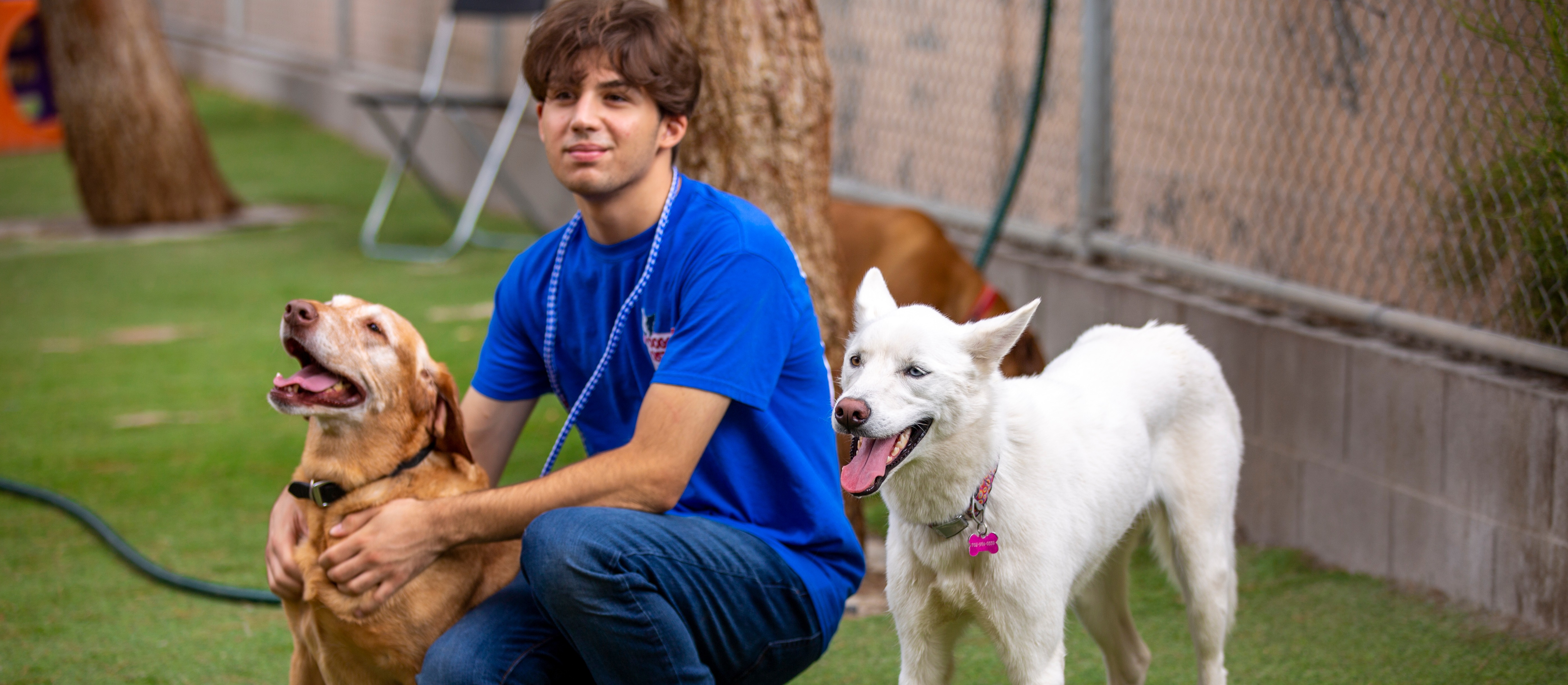 Dog with employee playing outside