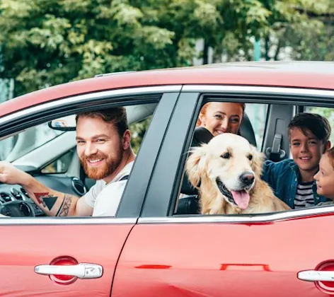 Family in car with a dog Family in car with a dog