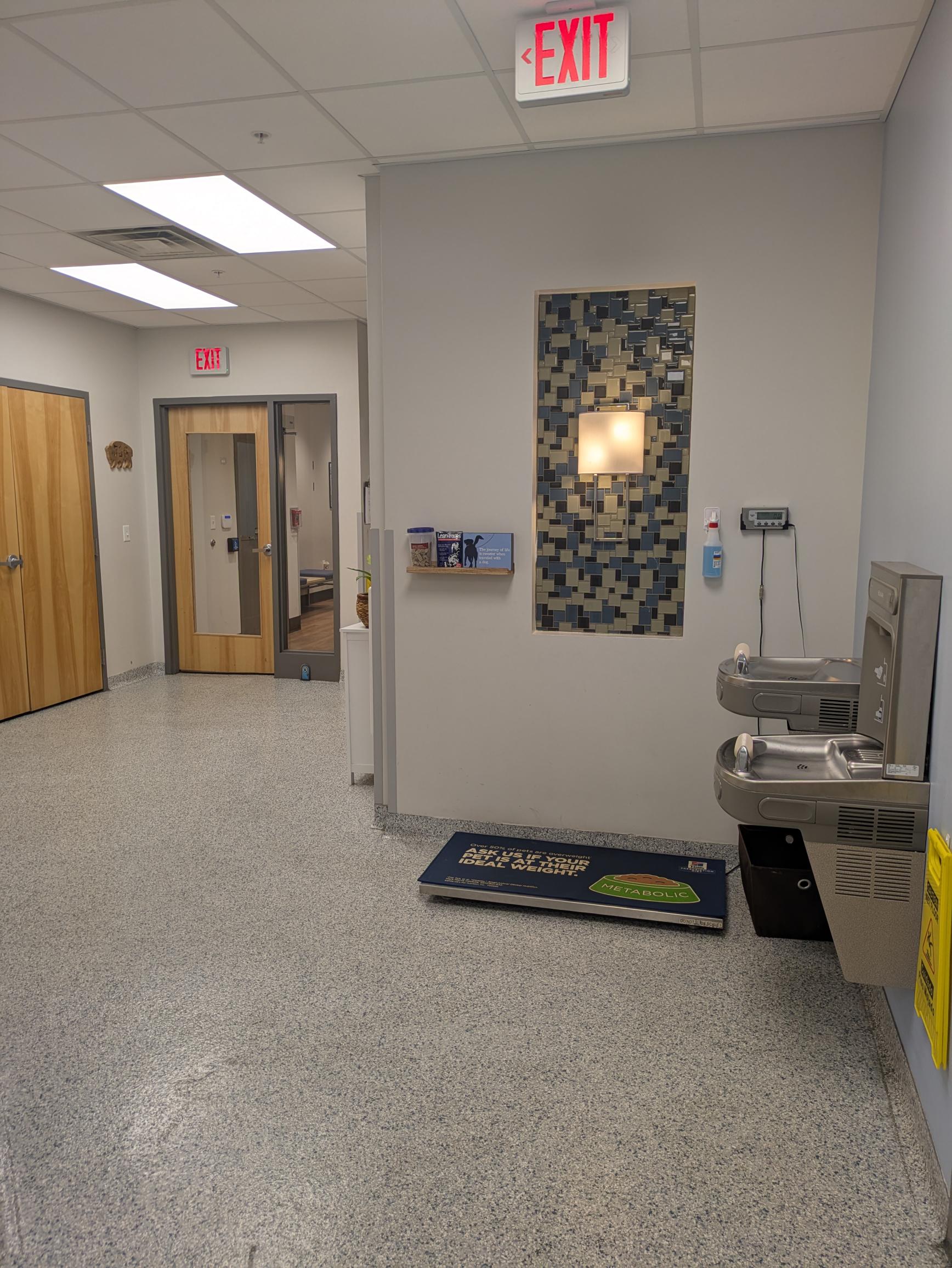 Hospital Scale for Pets